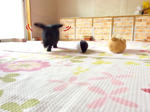 623BE94B-4783-4503-90A2-213C570646A7