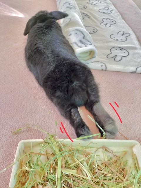 5761DA8F-C4BE-4F67-AAA2-D0F1BDC525EE