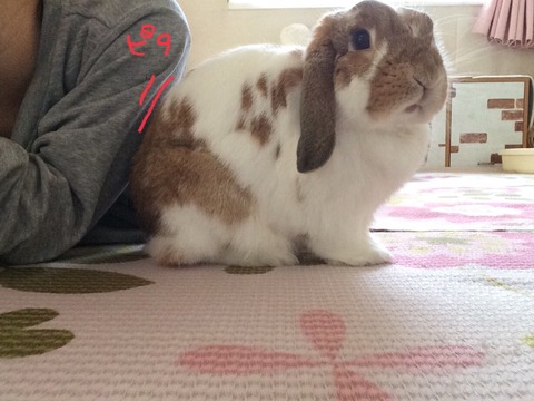 A390C751-2840-4299-8758-CEA1985FA755