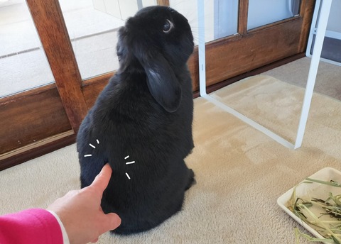 5D1CD1C7-A8D9-470A-B624-EFC348F73071