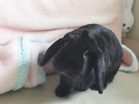 DE0D2A59-474C-477D-9CB2-929F607E2535