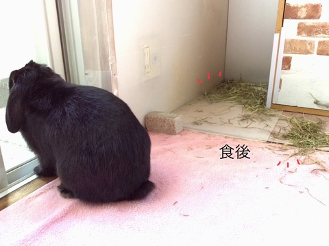 013A427B-BEEC-4B77-BA3F-C49824A1316B