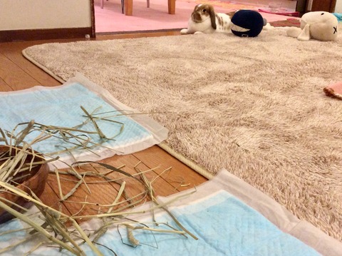 3B16CE3B-7241-4CC1-A293-3262A5E686A8