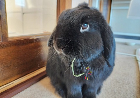 29A1BBE9-5334-4815-9A1F-658DCC788964