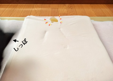 AF85FEE9-2984-482C-B52C-C91D625B8E68