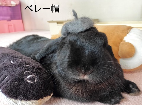 E21763D7-95FC-4E3D-91B7-D8269F2C3389