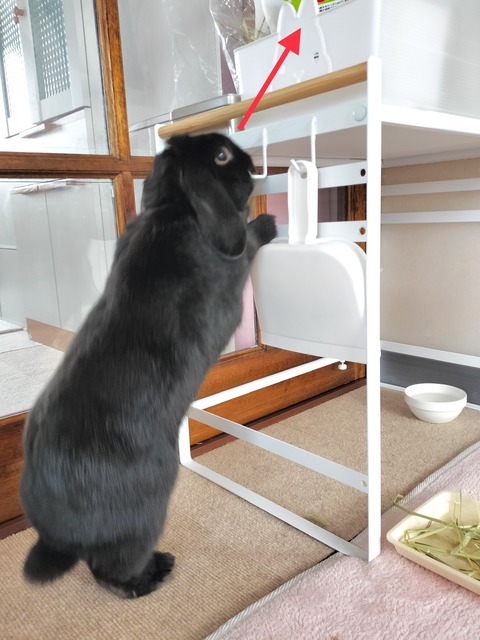 377329AC-DA66-495F-9629-1E45AD9F2BFA