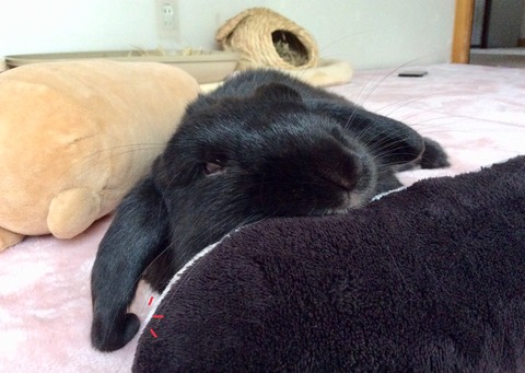 0AE007B5-9342-47A7-86BA-614A78EC398A