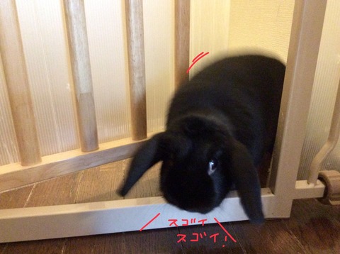 1A83ADCB-261F-4A0B-9AC1-98D4371D82F7