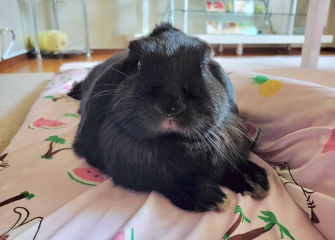 C738F750-3B9C-463E-AB9E-91FE69E0F90A