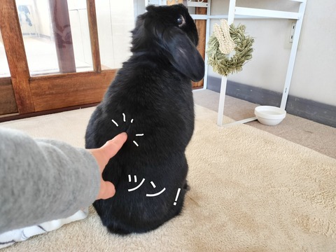 781E3B44-1BD6-462C-BEA1-1D0F14DB6E0A