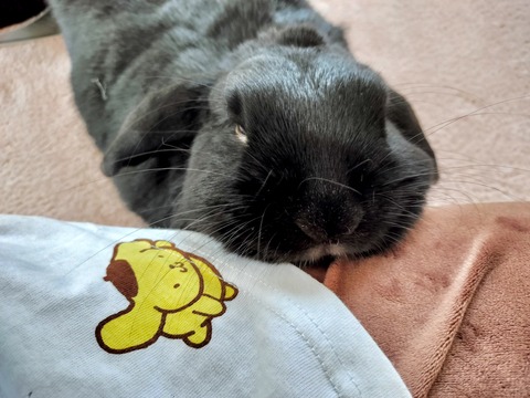 3B4348D1-B659-45F2-A4ED-7545D0DD7B20