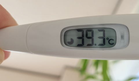 9CE3131D-F34D-4D1D-962F-0B25514E4D1A