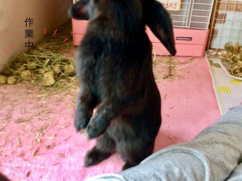 CF3C50D0-5764-46E1-8BC6-9664D3ABB6B3