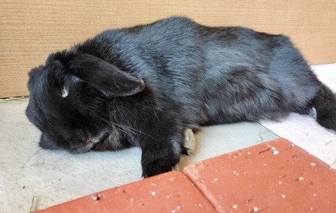 905107B8-8BF4-4A90-B7B4-124CC5A3218A