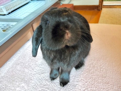 0063A652-4FAE-48E7-A90B-5BFD84D8D392