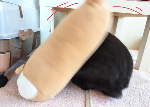 1F8E1B6B-139A-48CF-8167-8A2678002202