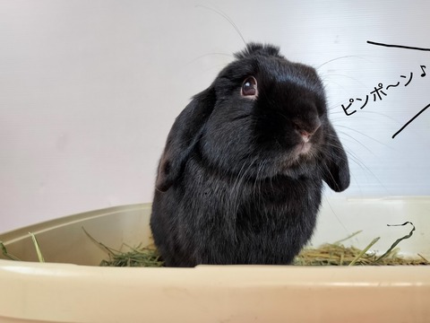 4CF9E3C7-4359-4C13-9434-366387EAE2F8