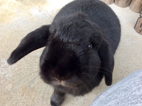 B6E8999B-B14F-4FF4-8152-23C1525D3FA6