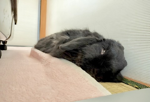 20ED9BF7-E9D6-4D41-A170-FB539F8462AA