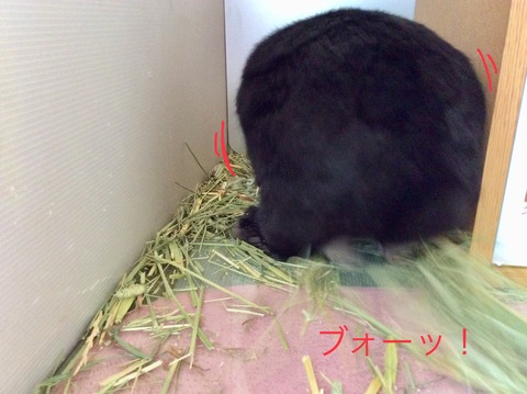 CBC9F0E8-9DDF-465F-A60E-7A6623447635