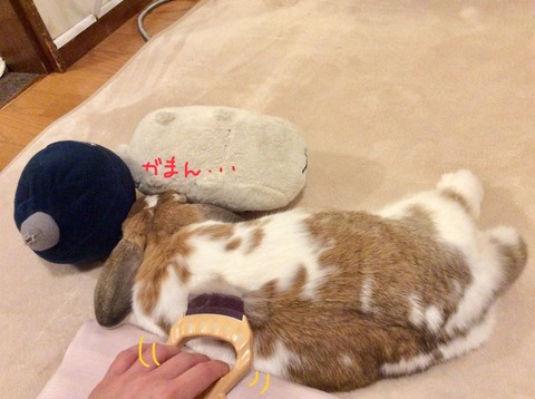 BD528C38-349B-4053-B9E3-C6273AC15F26