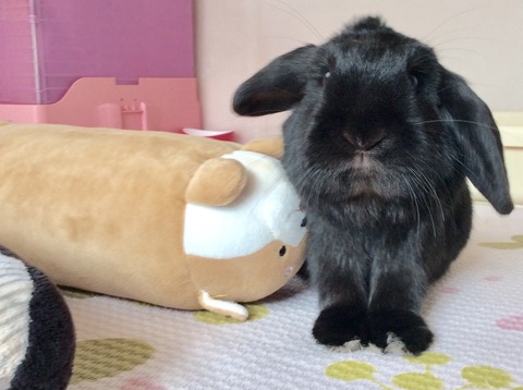 4798BE08-3171-46BC-B1F8-F05F051DFBD5