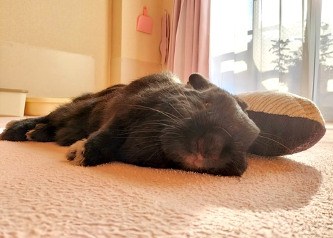 09042A1C-8314-4C6F-8B06-CB2513512FF4