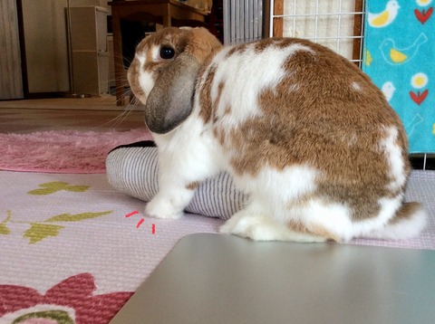 35CBE8B6-CC3A-4A18-A2F9-5031789CB4E0