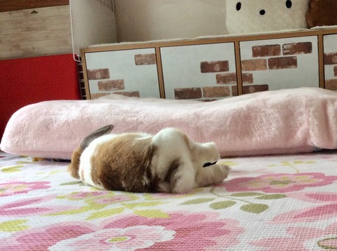 80930E76-CEAA-45A1-B029-7DD27167557C