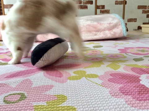 9FF4EE60-F777-4016-9FA0-D61B4012D8C4