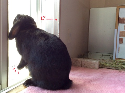 D2DCD025-CB4D-457D-97F7-6E3334CC6503