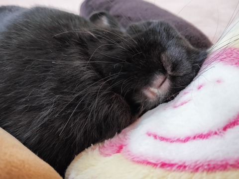 AC88B6FD-DFD4-43F1-BB60-C86F187A7B70