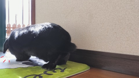 4797EE84-0986-4AAA-8B15-94E2A83DB5DD