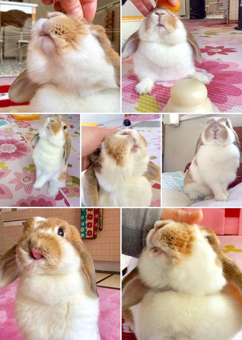 534C0506-9DDE-41C9-BB47-D5C16261685D