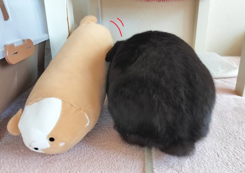 63DB1048-8FC5-45DB-AD28-659932790C9D