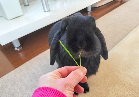 80D0D97D-A3AF-4E6C-8944-EF6A0428800D