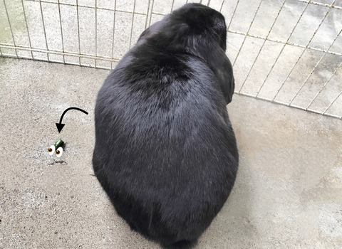 E8084BF5-40B5-4D7B-A0F1-821F7FAC2741