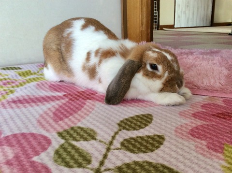 A1113855-88E3-4FFC-810A-DFF80686B837