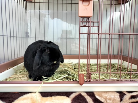 A5728743-DBBC-4EE0-9230-8D728FC52EF2