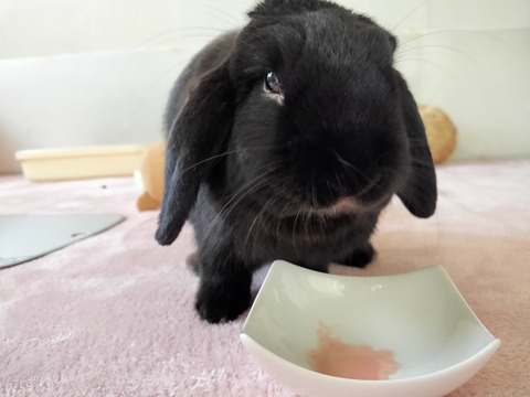 0B7D2D6D-B7B7-4C55-8107-04D1C069E9DD