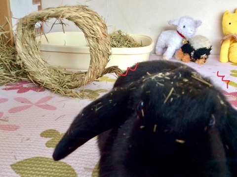 36547A2F-6F33-4876-9A8F-7A13B7B9389B