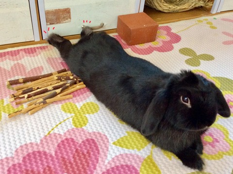 2FE226E8-929F-4236-AEB3-0B4E8F48F8F4