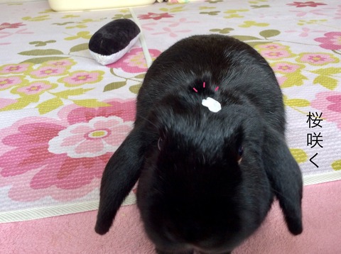 59371A02-0A25-4E07-AF5C-52ED22CCA434