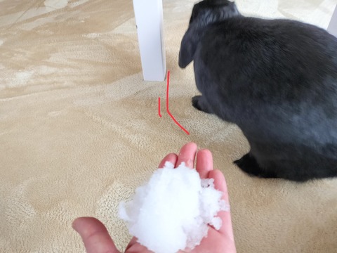 282581E5-9C15-4717-A25F-08E73ECB92AD