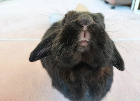 722B6512-6D64-4C0D-8089-275F6CC129E5