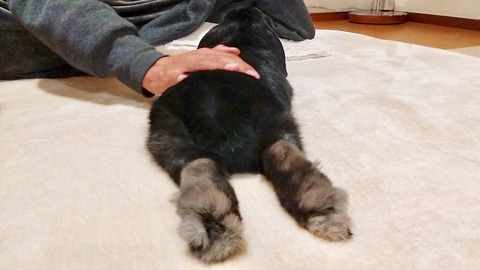 E5650BF3-BA44-439D-83D5-BE40CEE7DF8C