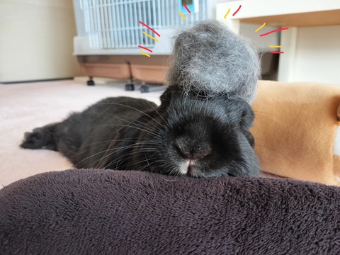 7581EFBE-06F0-4BD8-8741-324083DA78A2