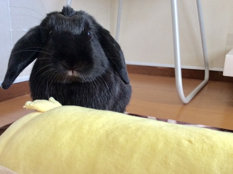 18B5AB61-0501-4DA8-9EC5-9FDC41DA31D9