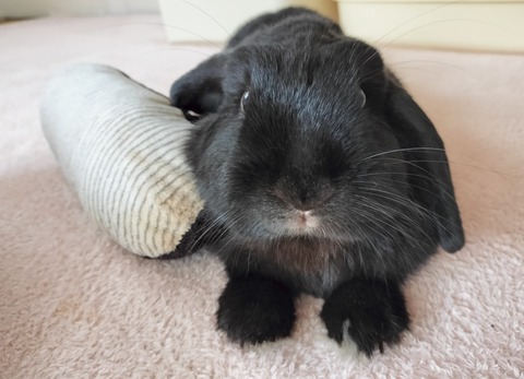 0FD20BCB-A6BA-405F-8590-500281444A19